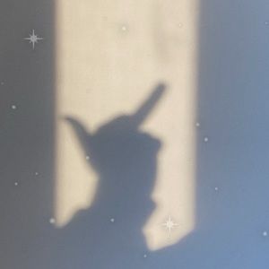 Meet your Posher, Ava